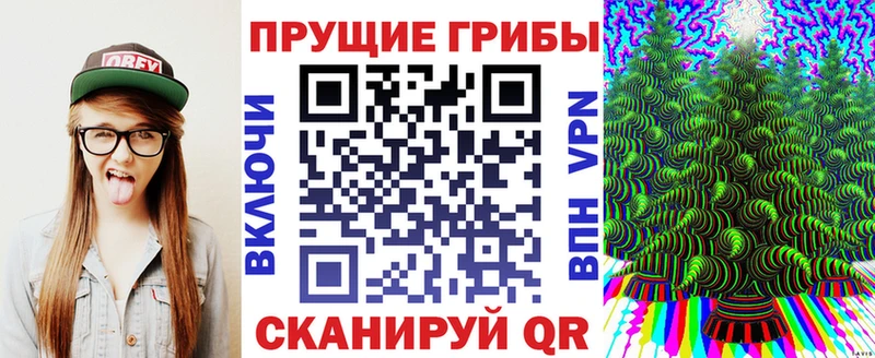 Псилоцибиновые грибы Psilocybine cubensis  Инсар 